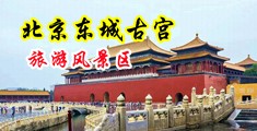 猛肏荡妇视频中国北京-东城古宫旅游风景区